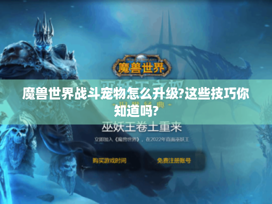 魔兽世界战斗宠物怎么升级?这些技巧你知道吗? 魔兽世界战斗宠物怎么升级?这些技巧你知道吗?