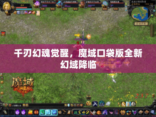 千刃幻魂觉醒,魔域口袋版全新幻域降临 千刃幻魂觉醒,魔域口袋版全新幻域降临