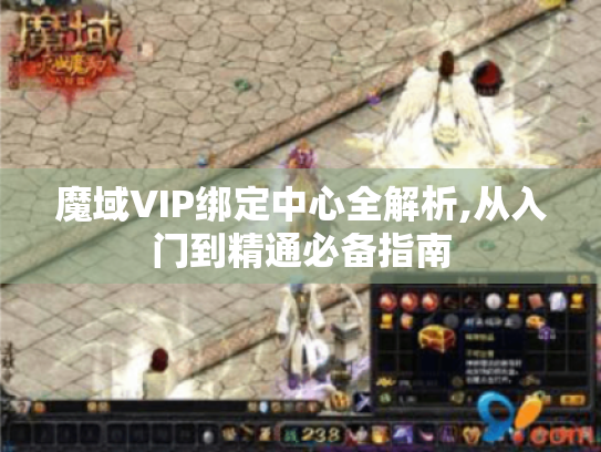 魔域VIP绑定中心全解析,从入门到精通必备指南