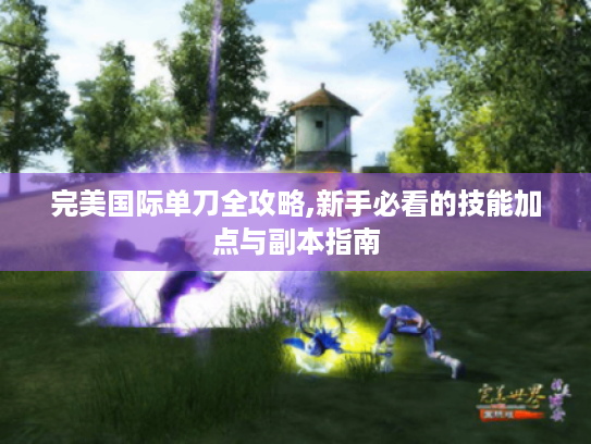 完美国际单刀全攻略,新手必看的技能加点与副本指南 完美国际单刀全攻略,新手必看的技能加点与副本指南