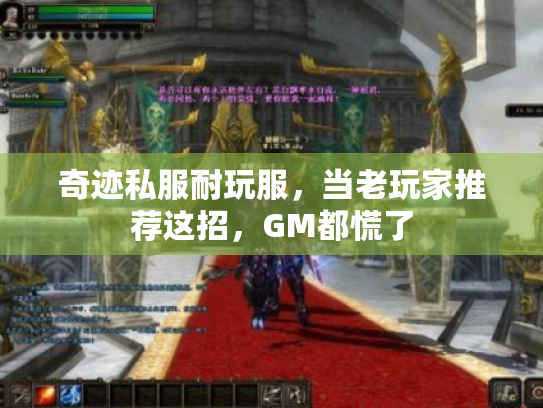 奇迹私服耐玩服，当老玩家推荐这招，GM都慌了