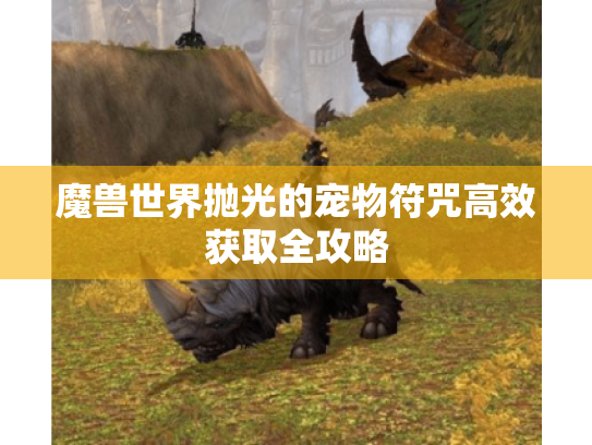 魔兽世界抛光的宠物符咒高效获取全攻略