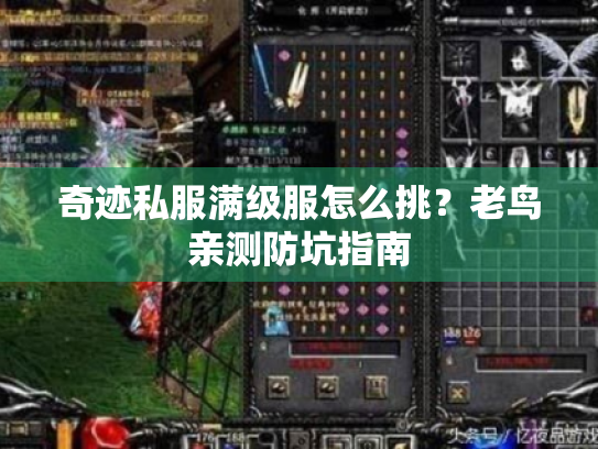 奇迹私服满级服怎么挑?老鸟亲测防坑指南 奇迹私服满级服怎么挑?老鸟亲测防坑指南