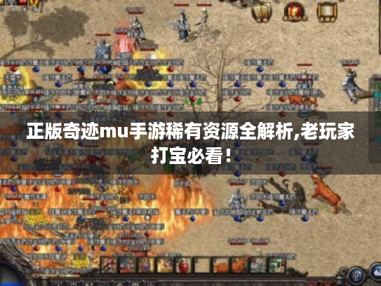 正版奇迹mu手游稀有资源全解析,老玩家打宝必看! 正版奇迹mu手游稀有资源全解析,老玩家打宝必看!
