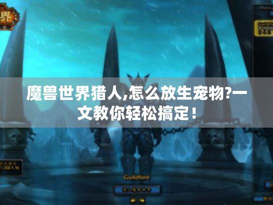 魔兽世界猎人,怎么放生宠物?一文教你轻松搞定! 魔兽世界猎人,怎么放生宠物?一文教你轻松搞定!