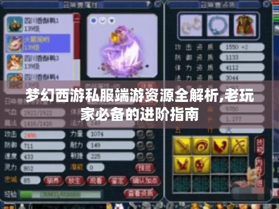 梦幻西游私服端游资源全解析,老玩家必备的进阶指南 梦幻西游私服端游资源全解析,老玩家必备的进阶指南