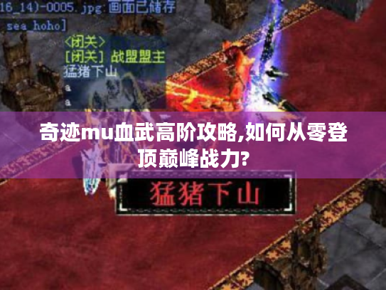 奇迹mu血武高阶攻略,如何从零登顶巅峰战力? 奇迹mu血武高阶攻略,如何从零登顶巅峰战力?