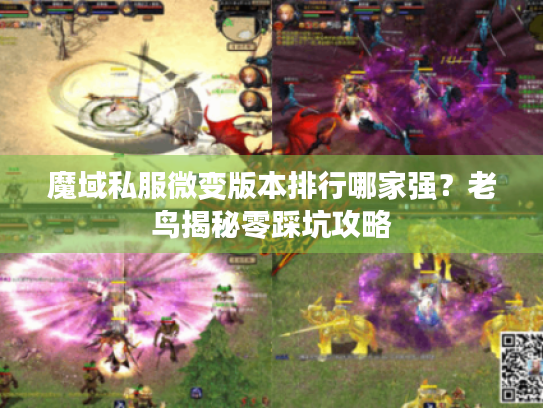 魔域私服微变版本排行哪家强?老鸟揭秘零踩坑攻略 魔域私服微变版本排行哪家强?老鸟揭秘零踩坑攻略