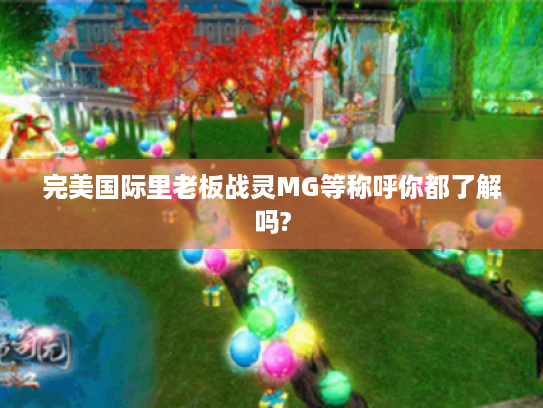 完美国际里老板战灵MG等称呼你都了解吗? 完美国际里老板战灵MG等称呼你都了解吗?