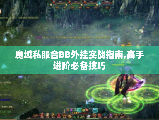 魔域私服合BB外挂实战指南,高手进阶必备技巧