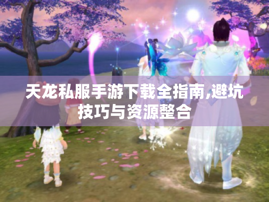 天龙私服手游下载全指南,避坑技巧与资源整合 天龙私服手游下载全指南,避坑技巧与资源整合