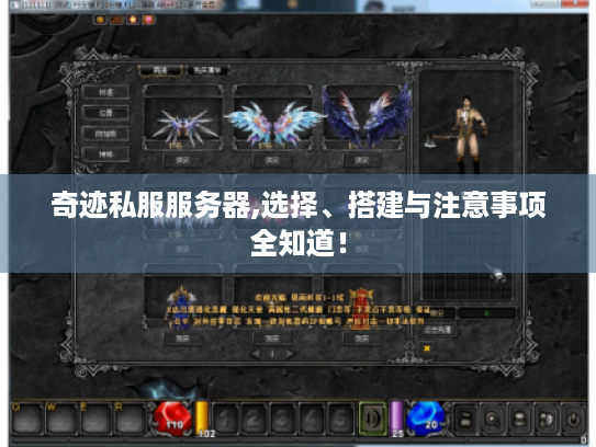 奇迹私服服务器,选择、搭建与注意事项全知道! 奇迹私服服务器,选择、搭建与注意事项全知道!