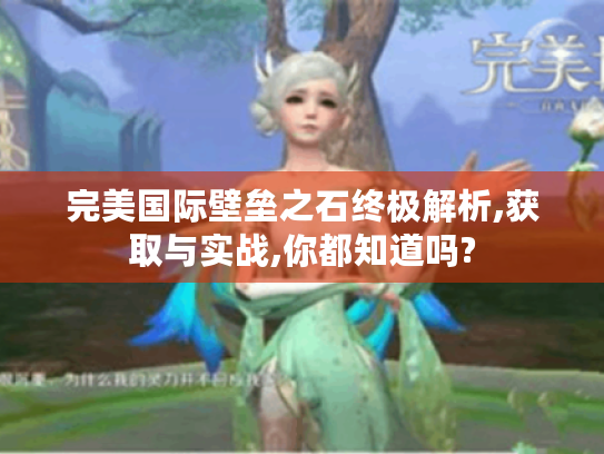 完美国际壁垒之石终极解析,获取与实战,你都知道吗? 完美国际壁垒之石终极解析,获取与实战,你都知道吗?