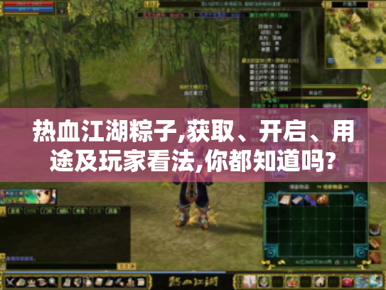 热血江湖粽子,获取、开启、用途及玩家看法,你都知道吗? 热血江湖粽子,获取、开启、用途及玩家看法,你都知道吗?