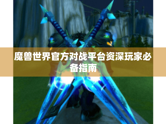 魔兽世界官方对战平台资深玩家必备指南 魔兽世界官方对战平台资深玩家必备指南