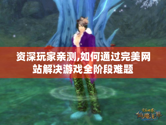 资深玩家亲测,如何通过完美网站解决游戏全阶段难题 资深玩家亲测,如何通过完美网站解决游戏全阶段难题