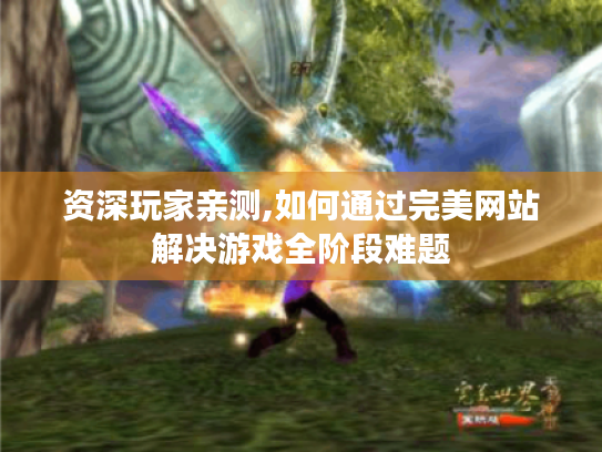 资深玩家亲测,如何通过完美网站解决游戏全阶段难题 资深玩家亲测,如何通过完美网站解决游戏全阶段难题