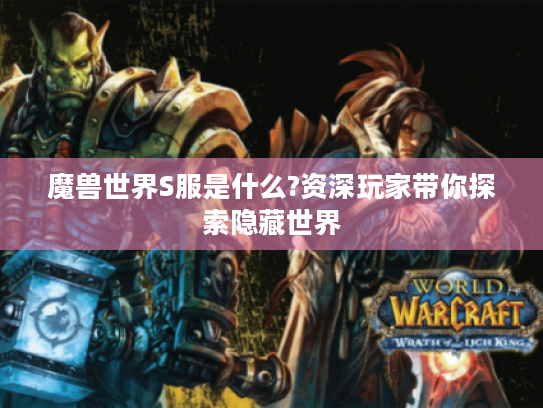 魔兽世界S服是什么?资深玩家带你探索隐藏世界 魔兽世界S服是什么?资深玩家带你探索隐藏世界