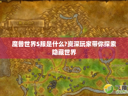 魔兽世界S服是什么?资深玩家带你探索隐藏世界 魔兽世界S服是什么?资深玩家带你探索隐藏世界