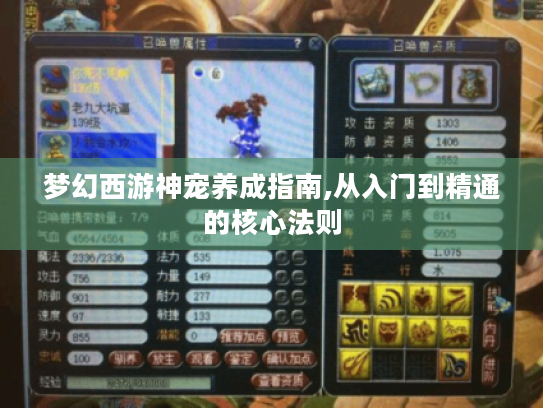 梦幻西游神宠养成指南,从入门到精通的核心法则 梦幻西游神宠养成指南,从入门到精通的核心法则