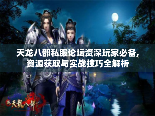天龙八部私服论坛资深玩家必备,资源获取与实战技巧全解析 天龙八部私服论坛资深玩家必备,资源获取与实战技巧全解析