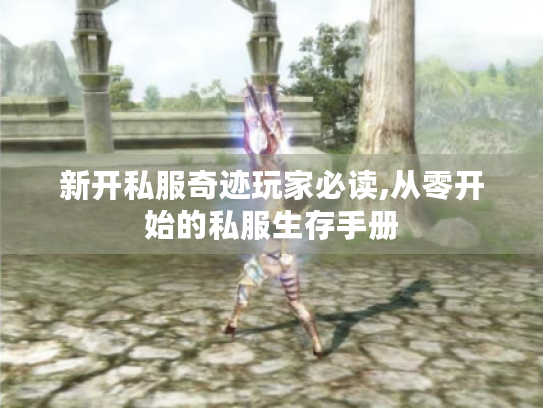 新开私服奇迹玩家必读,从零开始的私服生存手册 新开私服奇迹玩家必读,从零开始的私服生存手册