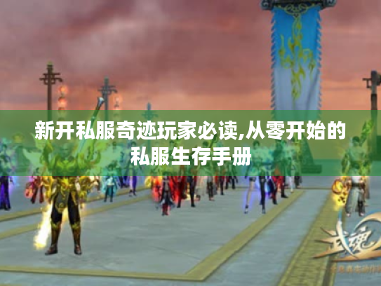 新开私服奇迹玩家必读,从零开始的私服生存手册 新开私服奇迹玩家必读,从零开始的私服生存手册