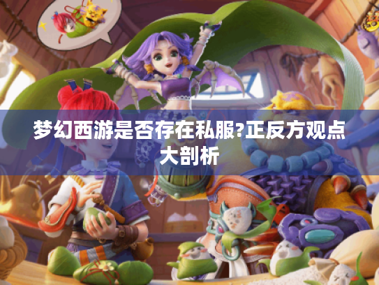 梦幻西游是否存在私服?正反方观点大剖析 梦幻西游是否存在私服?正反方观点大剖析