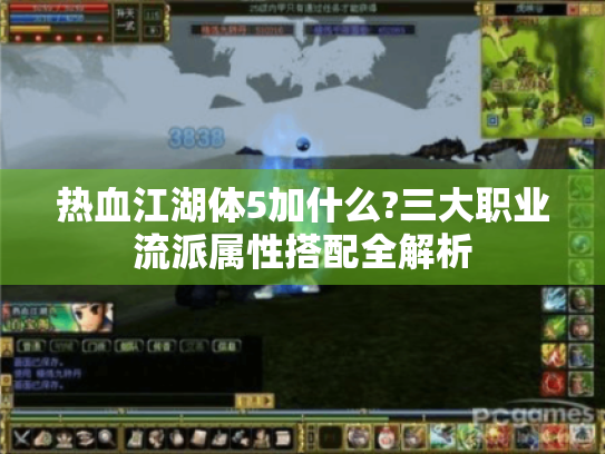 热血江湖体5加什么?三大职业流派属性搭配全解析 热血江湖体5加什么?三大职业流派属性搭配全解析