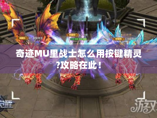 奇迹MU里战士怎么用按键精灵?攻略在此! 奇迹MU里战士怎么用按键精灵?攻略在此!