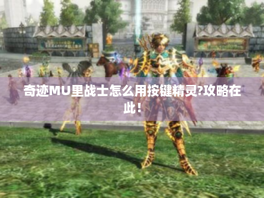 奇迹MU里战士怎么用按键精灵?攻略在此! 奇迹MU里战士怎么用按键精灵?攻略在此!