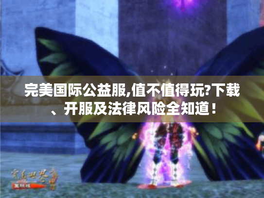 完美国际公益服,值不值得玩?下载、开服及法律风险全知道！