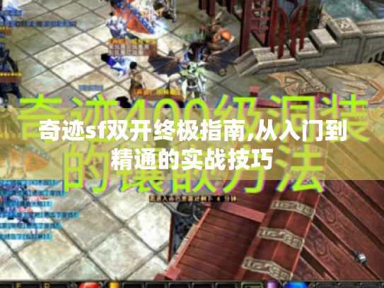 奇迹sf双开终极指南,从入门到精通的实战技巧 奇迹sf双开终极指南,从入门到精通的实战技巧