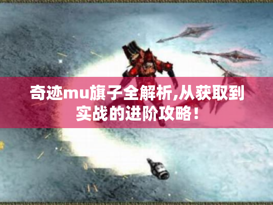 奇迹mu旗子全解析,从获取到实战的进阶攻略! 奇迹mu旗子全解析,从获取到实战的进阶攻略!