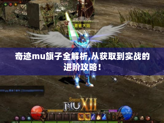 奇迹mu旗子全解析,从获取到实战的进阶攻略! 奇迹mu旗子全解析,从获取到实战的进阶攻略!