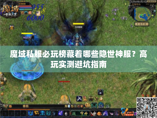 魔域私服必玩榜藏着哪些隐世神服?高玩实测避坑指南 魔域私服必玩榜藏着哪些隐世神服?高玩实测避坑指南