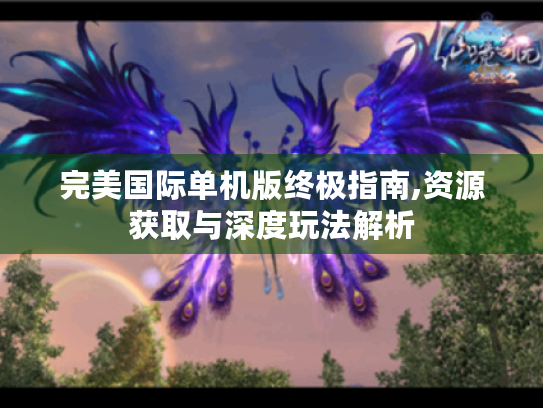 完美国际单机版终极指南,资源获取与深度玩法解析 完美国际单机版终极指南,资源获取与深度玩法解析