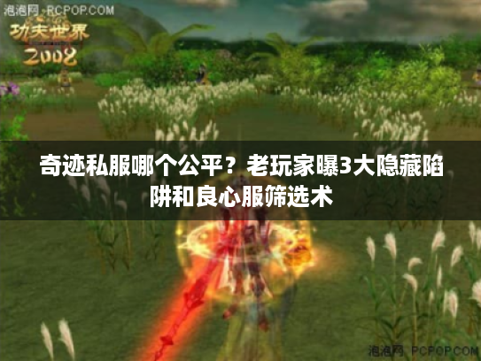 奇迹私服哪个公平?老玩家曝3大隐藏陷阱和良心服筛选术 奇迹私服哪个公平?老玩家曝3大隐藏陷阱和良心服筛选术