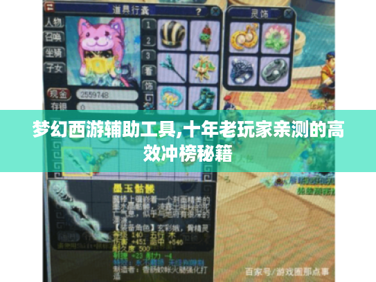 梦幻西游辅助工具,十年老玩家亲测的高效冲榜秘籍 梦幻西游辅助工具,十年老玩家亲测的高效冲榜秘籍