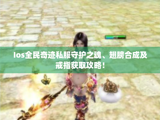 Ios全民奇迹私服守护之魂、翅膀合成及戒指获取攻略! Ios全民奇迹私服守护之魂、翅膀合成及戒指获取攻略!