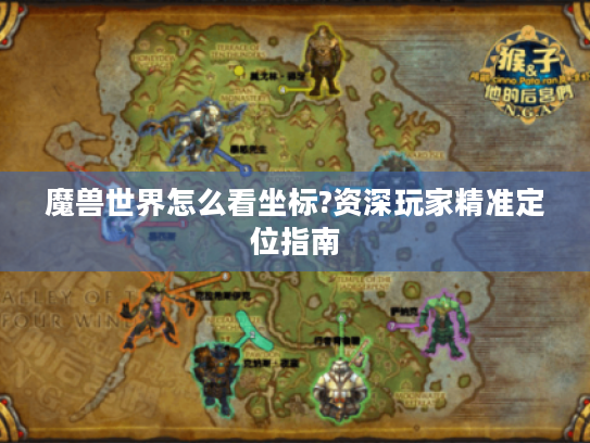 魔兽世界怎么看坐标?资深玩家精准定位指南