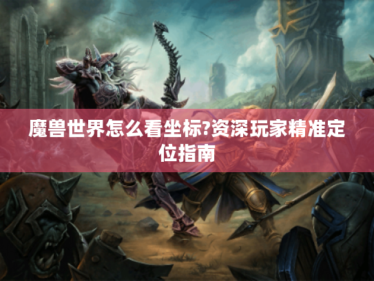 魔兽世界怎么看坐标?资深玩家精准定位指南