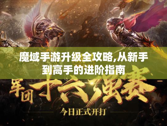 魔域手游升级全攻略,从新手到高手的进阶指南 魔域手游升级全攻略,从新手到高手的进阶指南