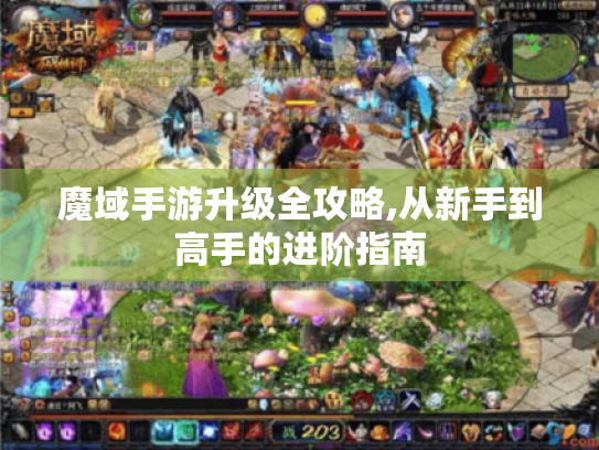魔域手游升级全攻略,从新手到高手的进阶指南 魔域手游升级全攻略,从新手到高手的进阶指南