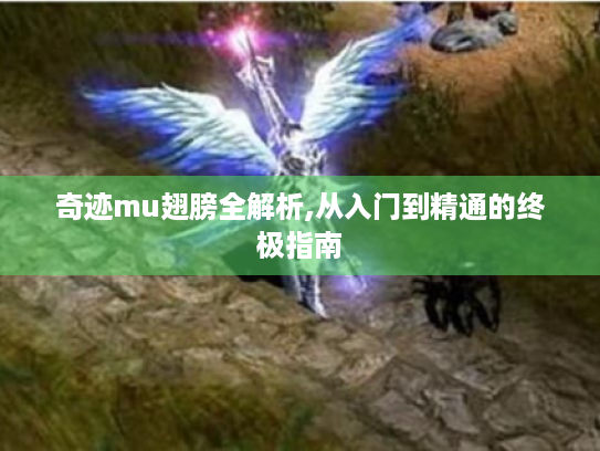 奇迹mu翅膀全解析,从入门到精通的终极指南 奇迹mu翅膀全解析,从入门到精通的终极指南