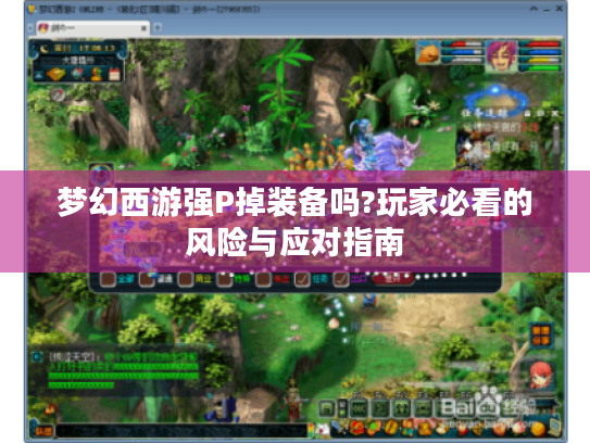 梦幻西游强P掉装备吗?玩家必看的风险与应对指南 梦幻西游强P掉装备吗?玩家必看的风险与应对指南