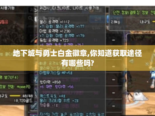 地下城与勇士白金徽章,你知道获取途径有哪些吗?