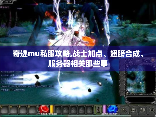 奇迹mu私服攻略,战士加点、翅膀合成、服务器相关那些事 奇迹mu私服攻略,战士加点、翅膀合成、服务器相关那些事