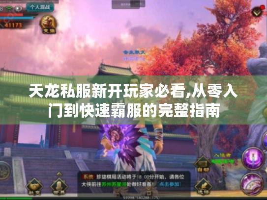 天龙私服新开玩家必看,从零入门到快速霸服的完整指南 天龙私服新开玩家必看,从零入门到快速霸服的完整指南