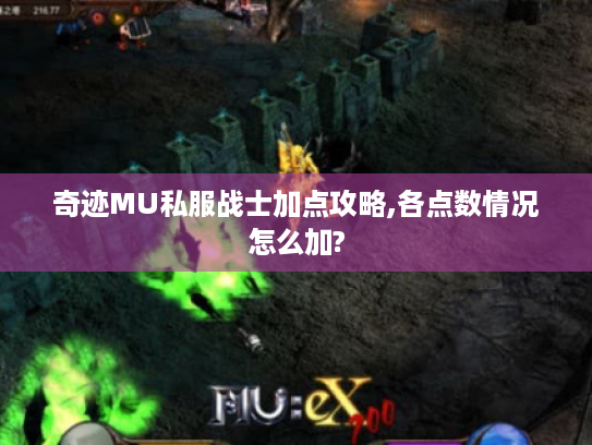 奇迹MU私服战士加点攻略,各点数情况怎么加?